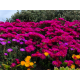 Test produit 1