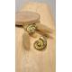Boucles coquillage 