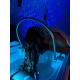 Head Spa complet avec Soin Visage