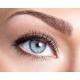 Teinture de cils
