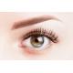 Épilation Sourcils entretien