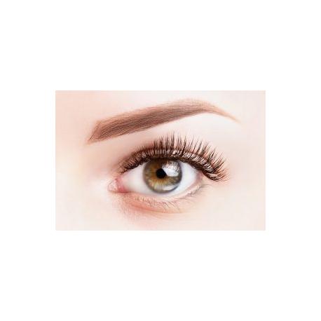 Épilation Sourcils entretien Épilation Sourcils entretien