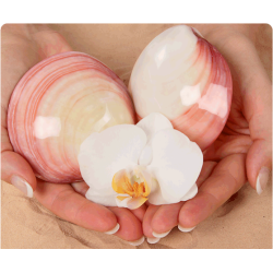 Massage Polynésien Coquillages chauds