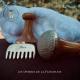 Massage Shinzu Body
