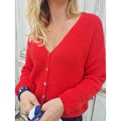 Gilet/pull