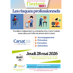 LES RISQUES PROFESSIONNELS - CARSAT