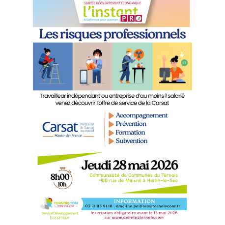 LES RISQUES PROFESSIONNELS - CARSAT