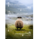 Fête de la Transhumance