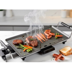 Plancha Electrique 46cm/26cm 2000W