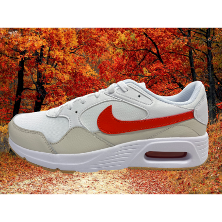 NIKE AIR MAX SC homme