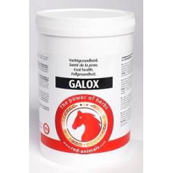 red horse galox 700gr pour chevaux