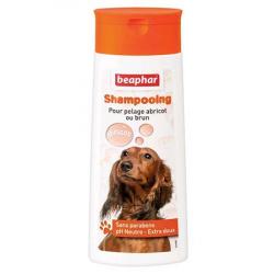 shampooing abricot 200ml BEAPHAR