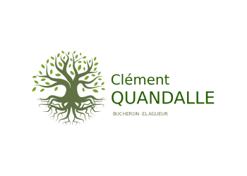 CLEMENT QUANDALLE BUCHERON ELAGUEUR PAYSAGISTE