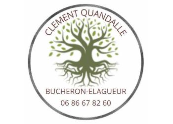 CLEMENT QUANDALLE BUCHERON ELAGUEUR PAYSAGISTE