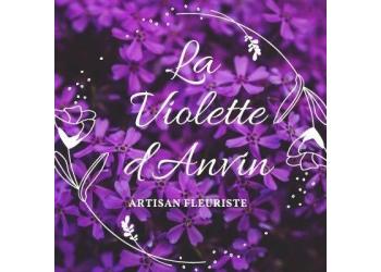 LA VIOLETTE D'ANVIN